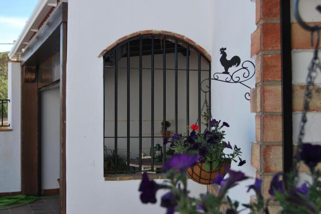 Cueva La Ermita Villa กวาดิกซ์ ภายนอก รูปภาพ